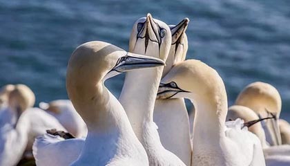 模特在以下活动最受欢迎